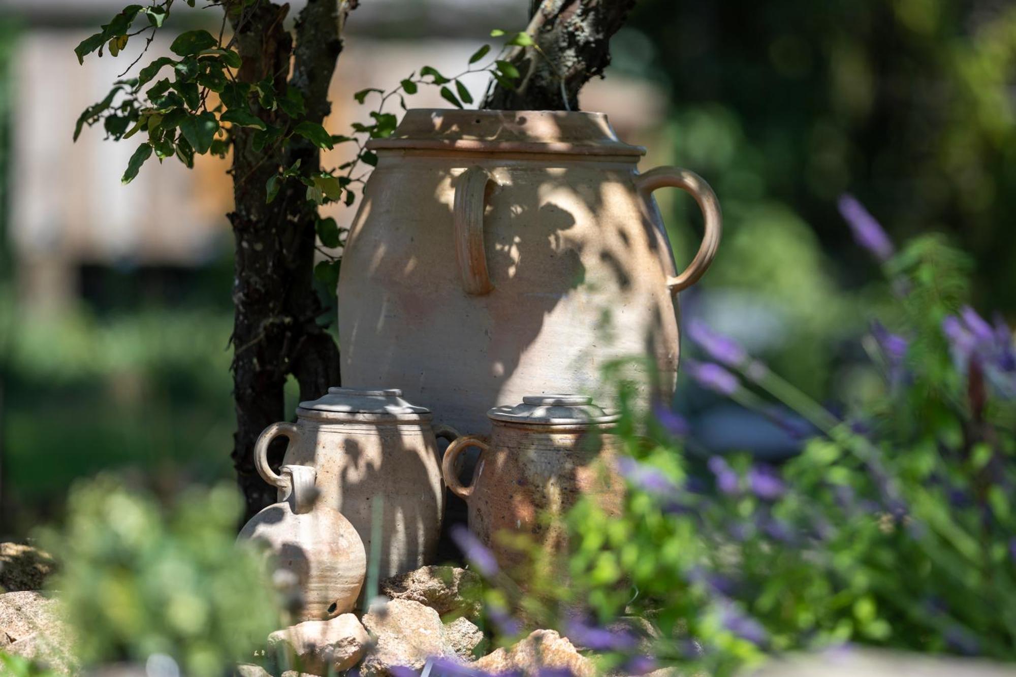 Bed and Breakfast Domaine La Pomme De Pin Louroux-de-Beaune Exterior foto