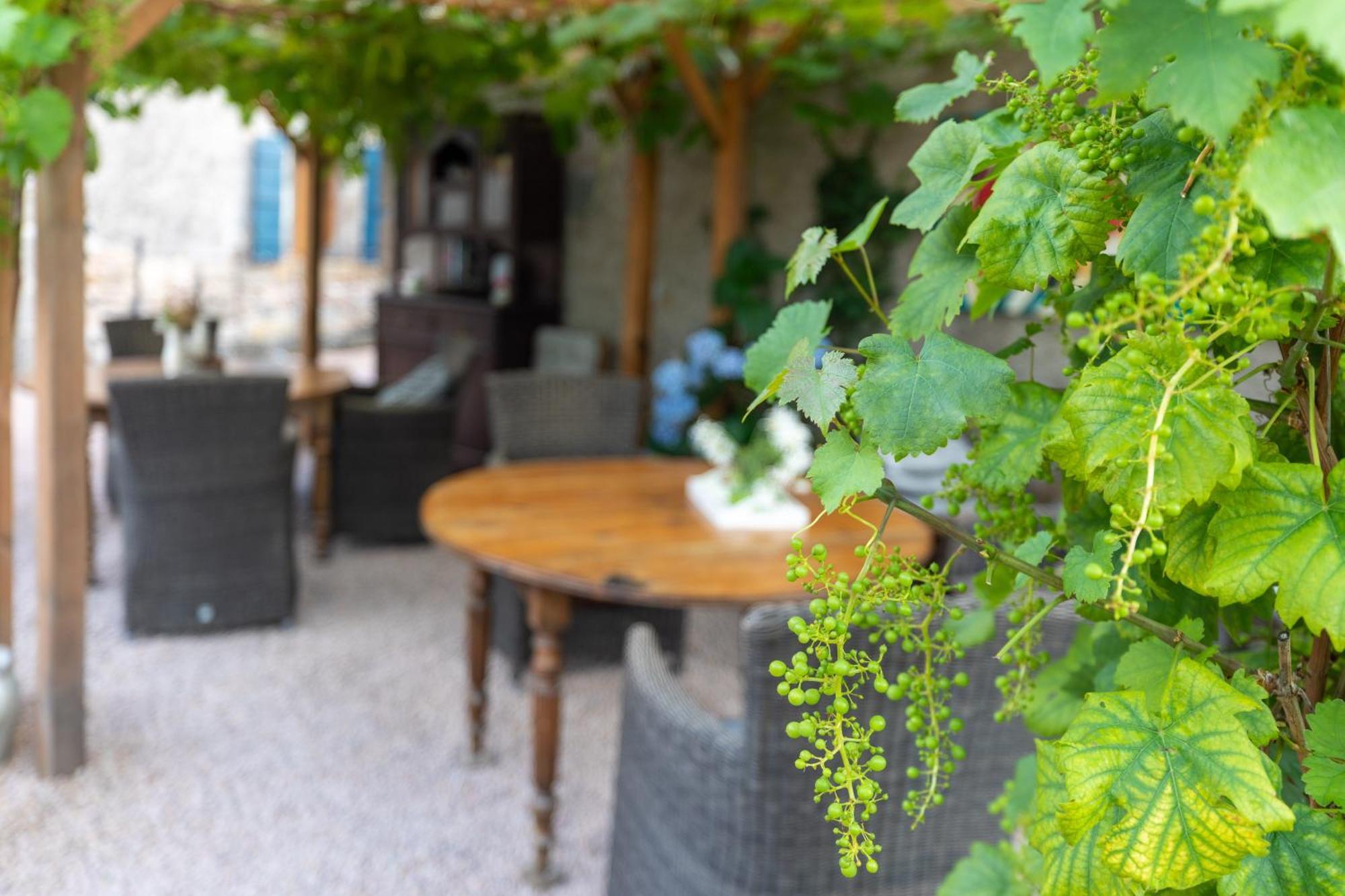 Bed and Breakfast Domaine La Pomme De Pin Louroux-de-Beaune Exterior foto